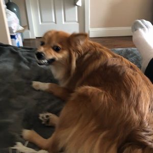 Meet your Posher, Francesca